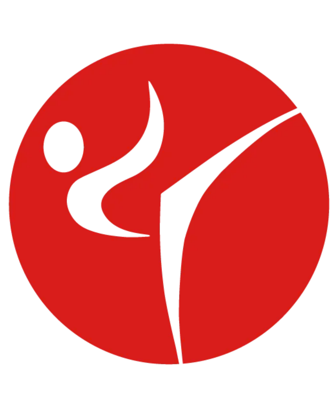 Karate Geiger